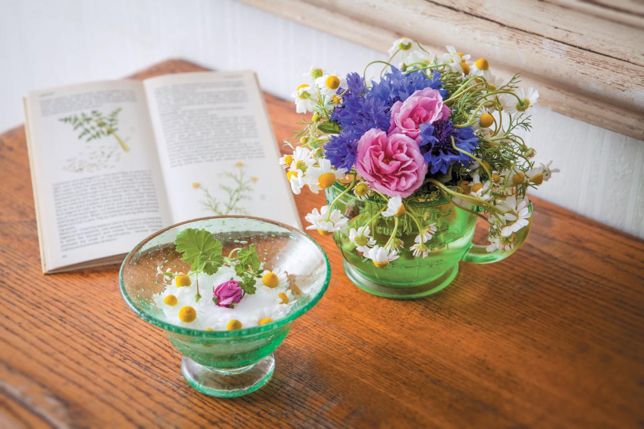 【ハーブガーデニング】ティーやポプリにおすすめ【カモマイル】の栽培方法と活用アイデア3選（画像5）