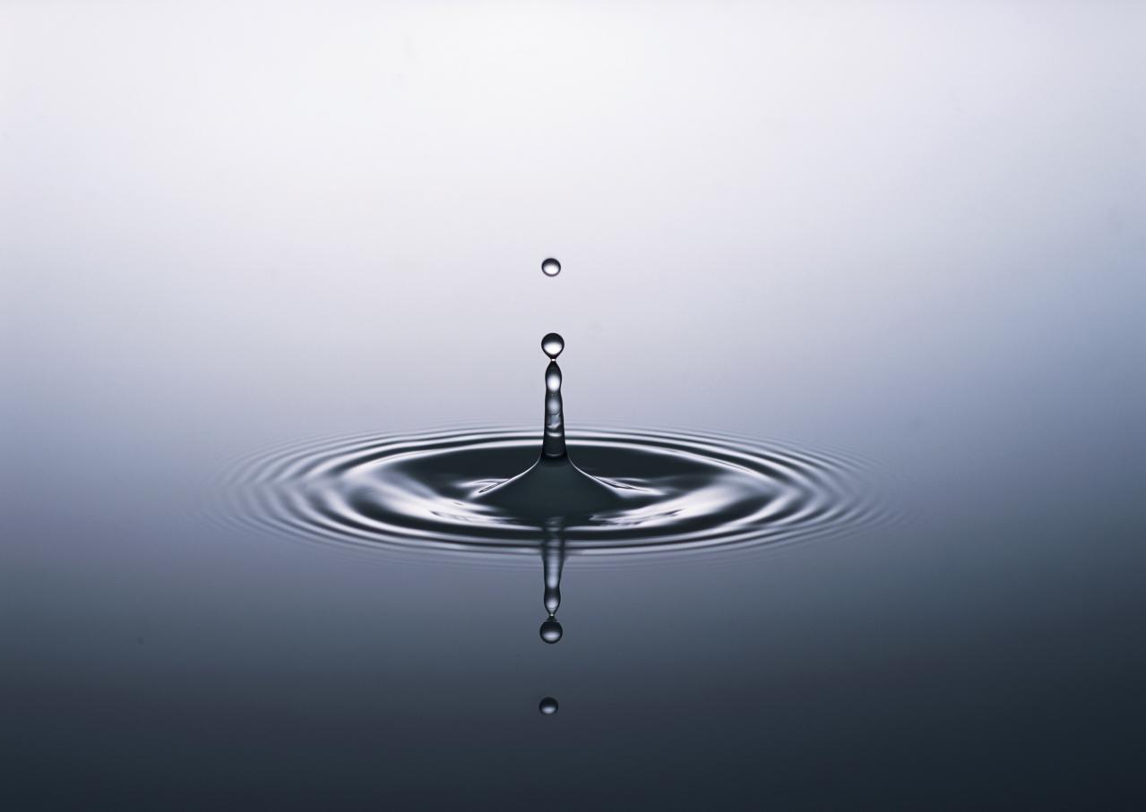 特徴 1 : 3つの独自素材＋11種のアミノ酸をバランスよく配合