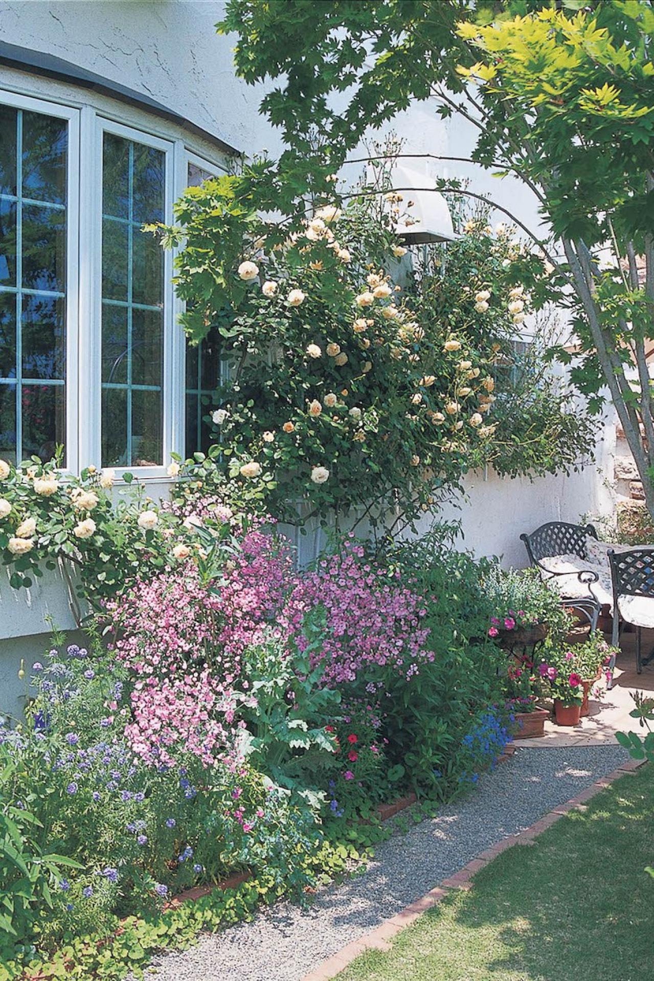 【狭い場所でのガーデニング】小さな花壇、アプローチを美しく飾るコツとは？（画像6）