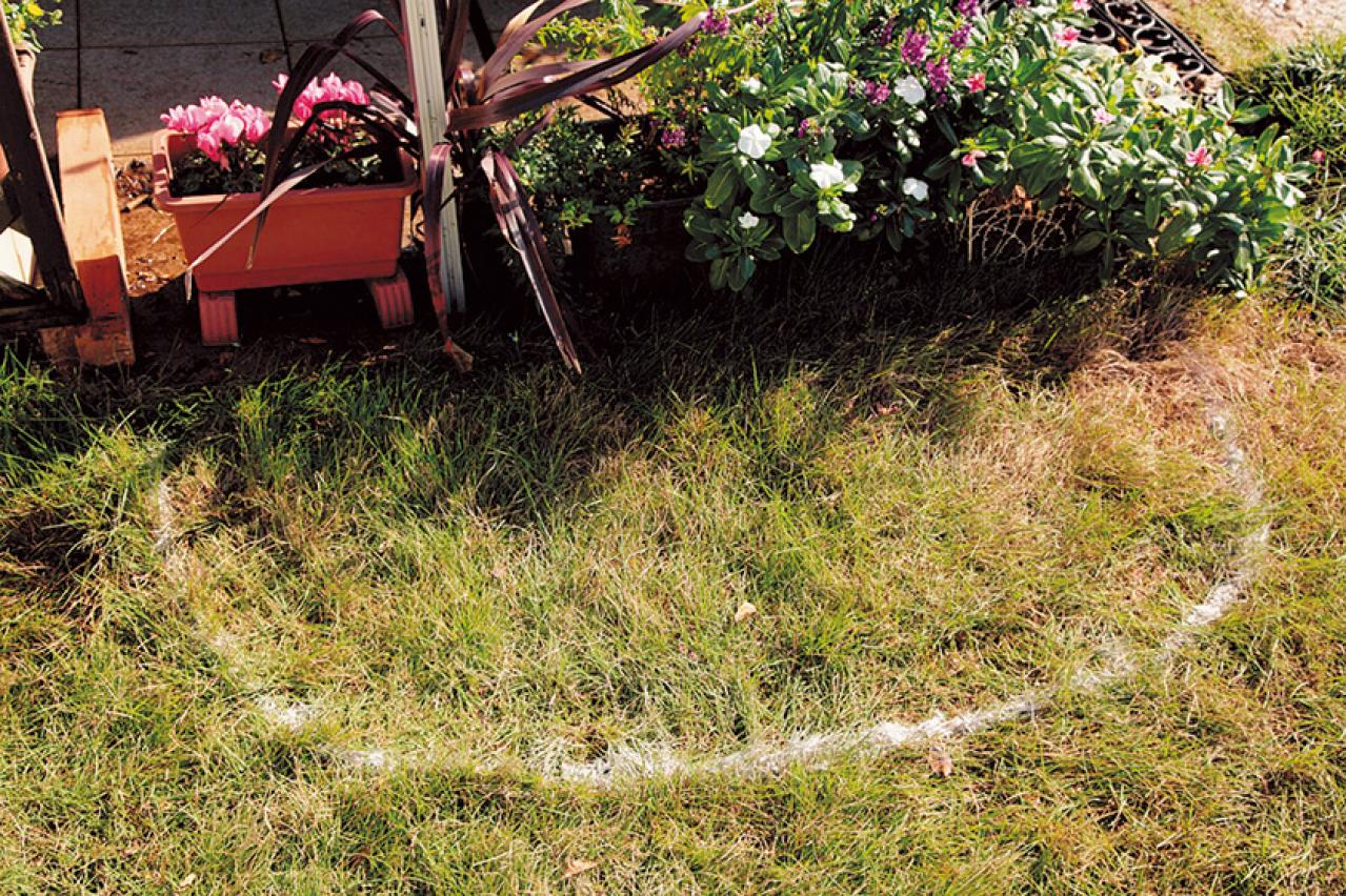 【狭い場所でのガーデニング】レンガを並べるだけで簡単、おしゃれな縁取り花壇のつくり方（画像5）