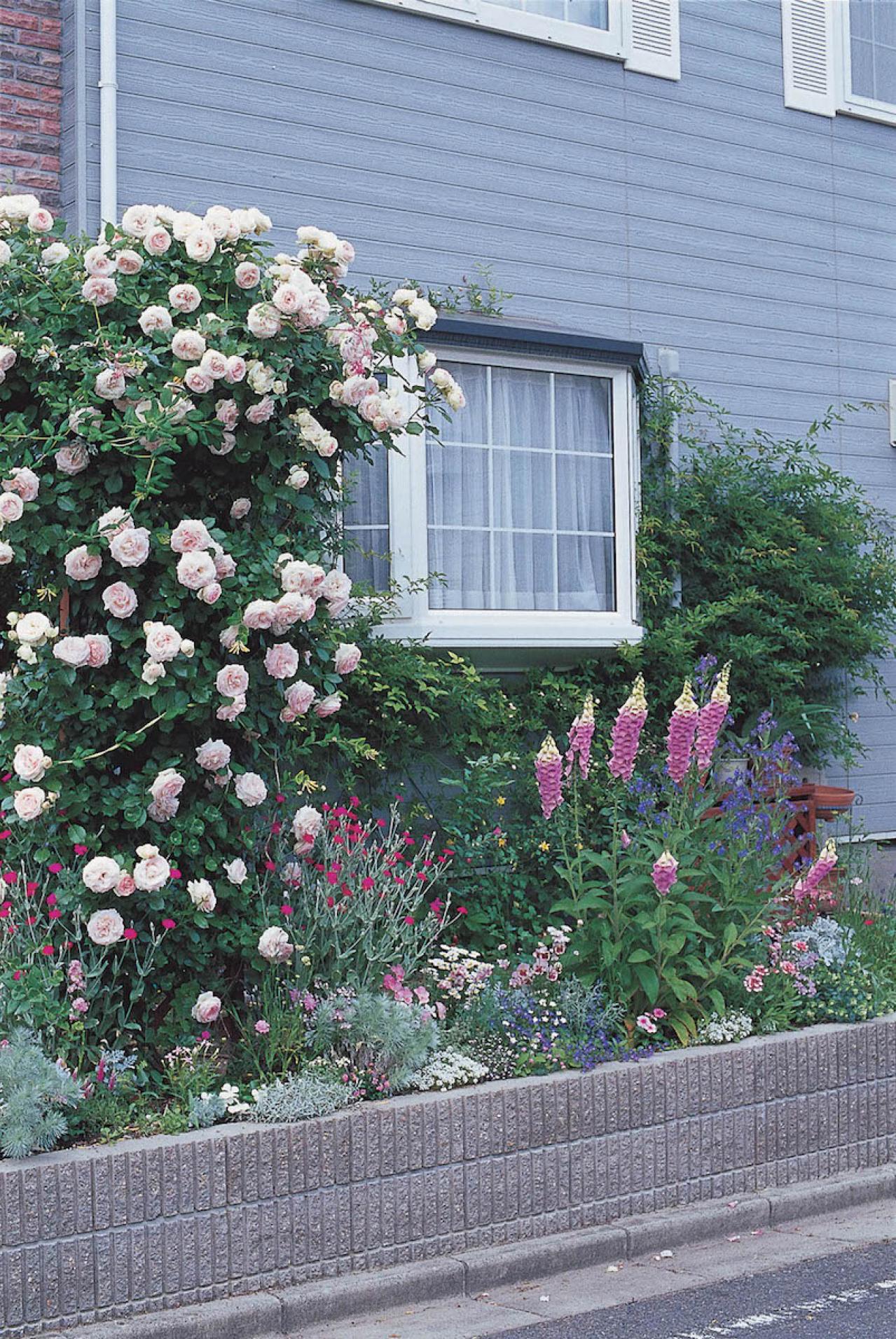 【狭い場所でのガーデニング】小さな花壇、アプローチを美しく飾るコツとは？（画像4）