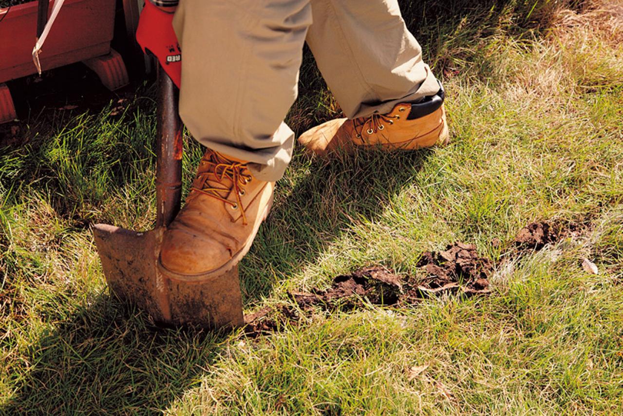 【狭い場所でのガーデニング】レンガを並べるだけで簡単、おしゃれな縁取り花壇のつくり方（画像6）