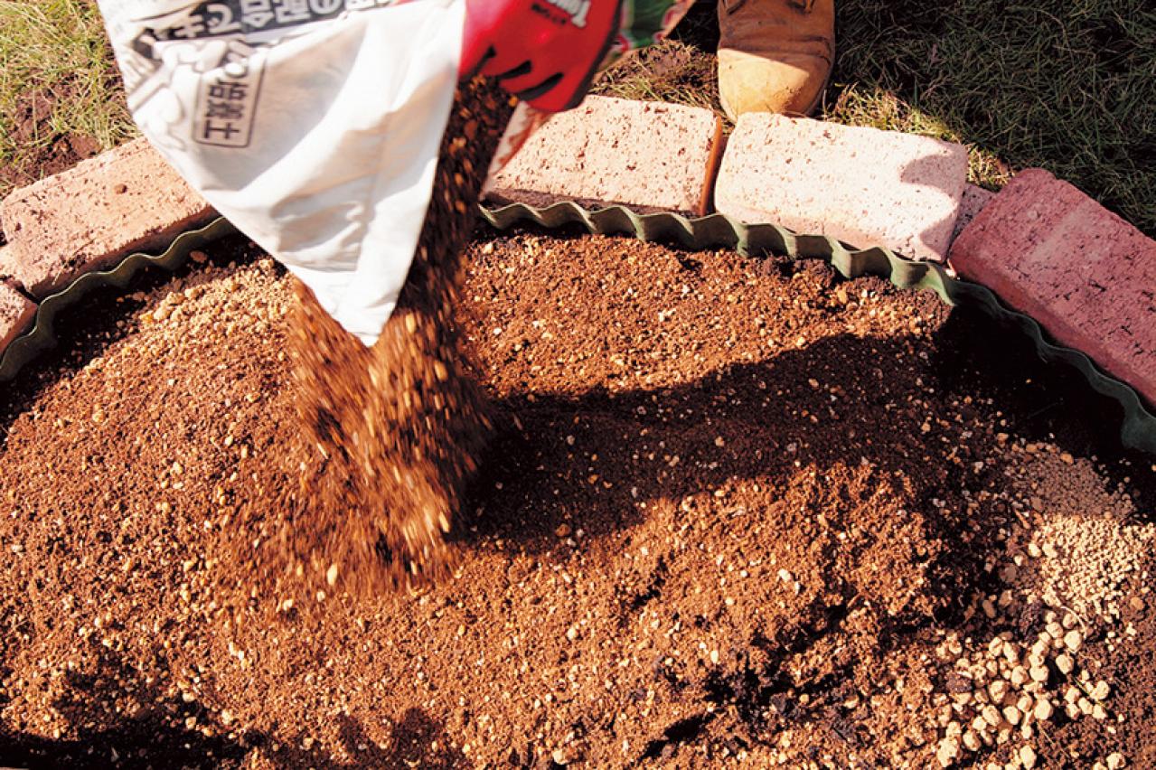 【狭い場所でのガーデニング】レンガを並べるだけで簡単、おしゃれな縁取り花壇のつくり方（画像17）