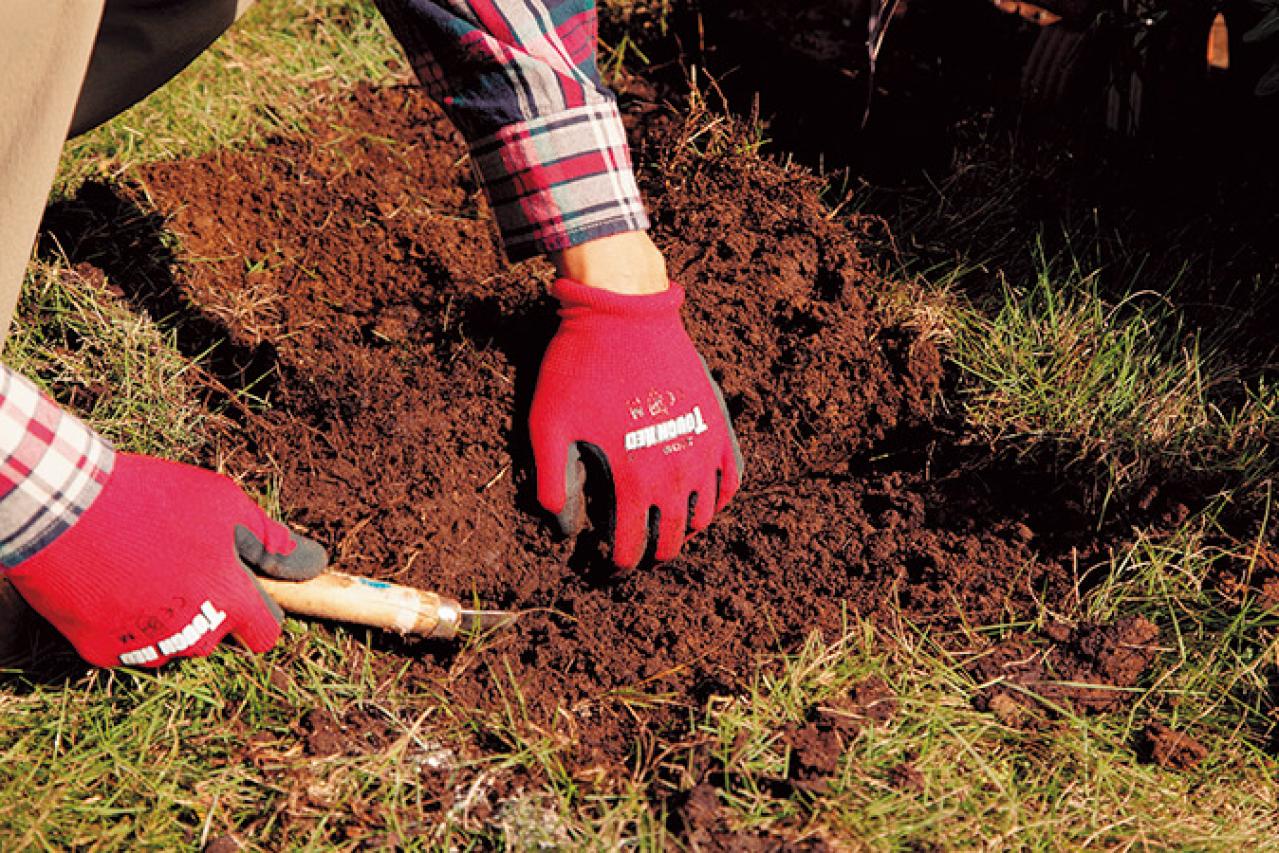 【狭い場所でのガーデニング】レンガを並べるだけで簡単、おしゃれな縁取り花壇のつくり方（画像8）