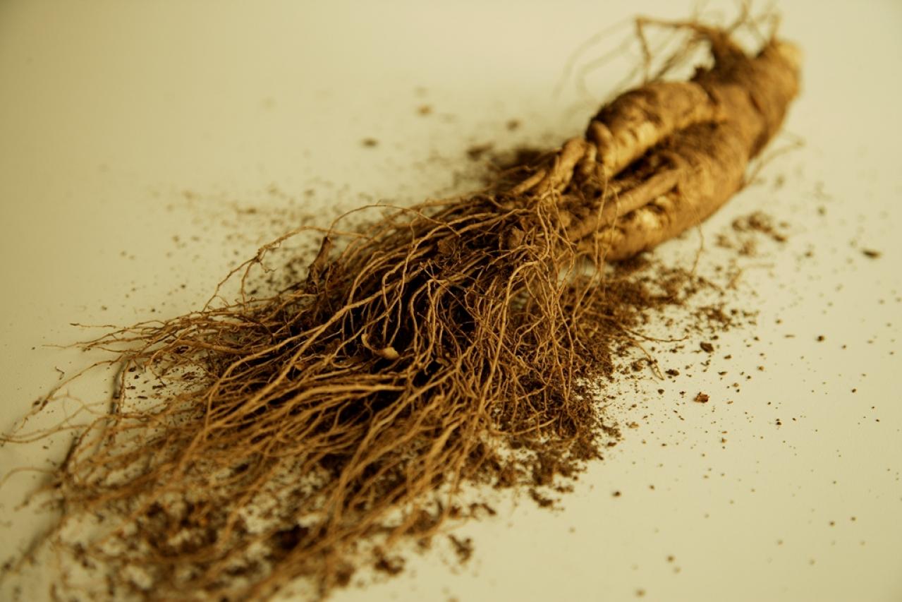 特徴 1 : 3つの独自素材＋11種のアミノ酸をバランスよく配合