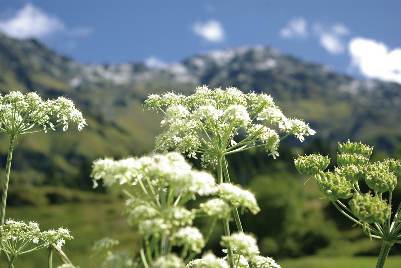 特徴 1 : 3つの独自素材＋11種のアミノ酸をバランスよく配合