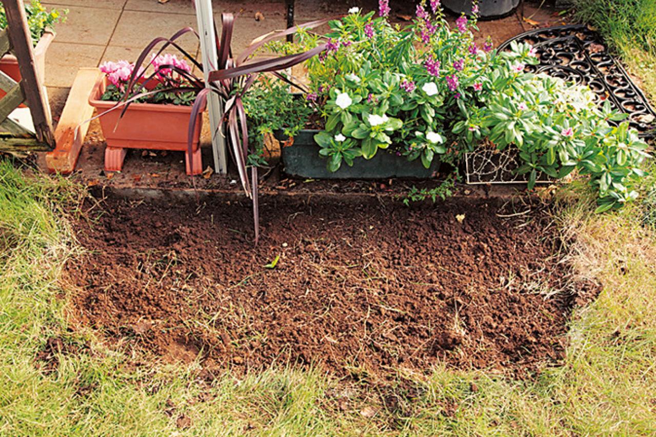 【狭い場所でのガーデニング】レンガを並べるだけで簡単、おしゃれな縁取り花壇のつくり方（画像9）