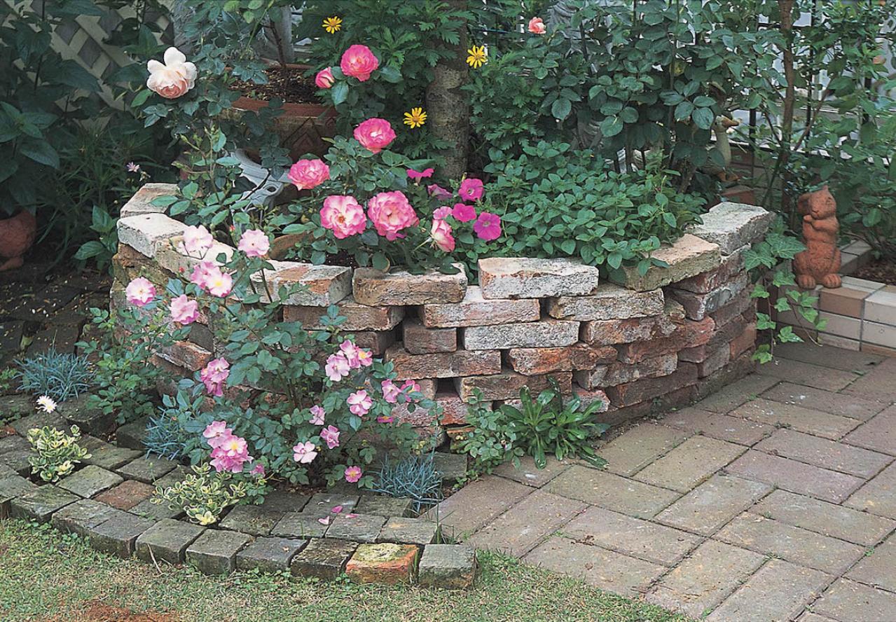 【狭い場所でのガーデニング】小さな花壇、アプローチを美しく飾るコツとは？（画像5）