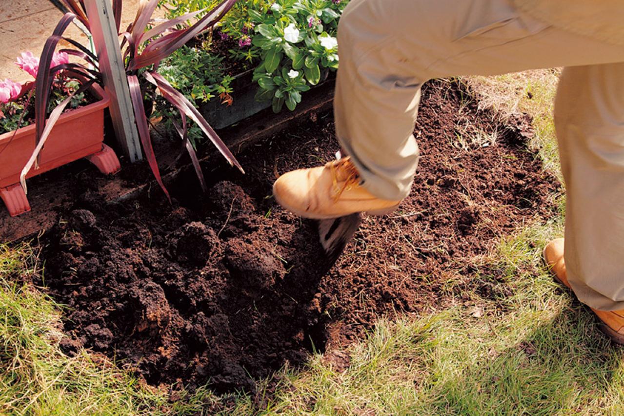 【狭い場所でのガーデニング】レンガを並べるだけで簡単、おしゃれな縁取り花壇のつくり方（画像10）