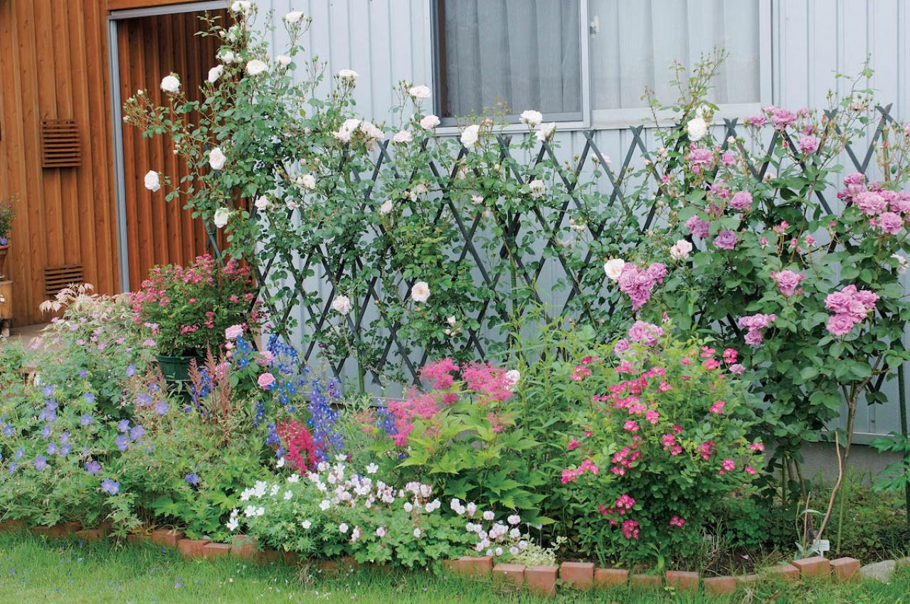 【狭い場所でのガーデニング】小さな花壇、アプローチを美しく飾るコツとは？（画像2）