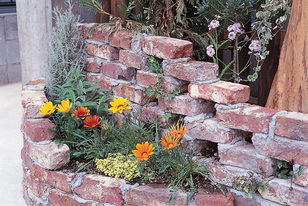 【狭い場所でのガーデニング】小さなスペースを無駄なく利用するアイデアとは？（画像2）