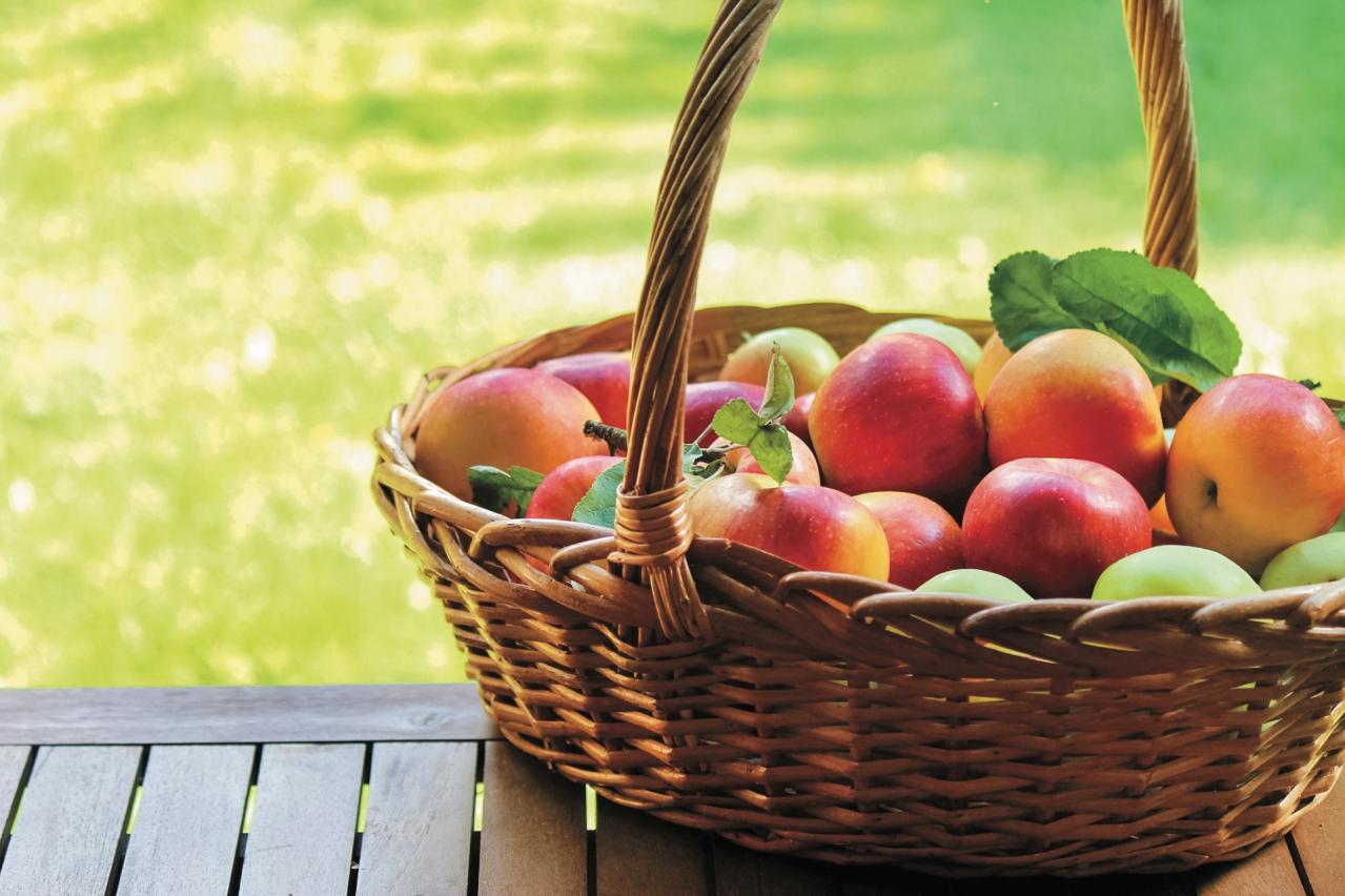 モラハラ夫と離婚、子育ても終わった今、無気力状態から抜け出せません。【坂東眞理子さん】のすっきり人生相談（画像4）