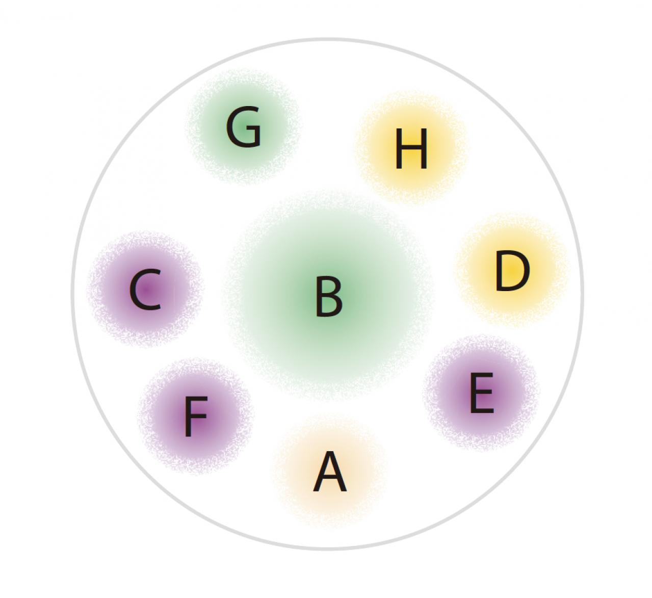 【ガーデニング】吉谷桂子さんの「白いオステオスペルマム」の寄せ植え。植えつけプロセスも公開！（画像4）