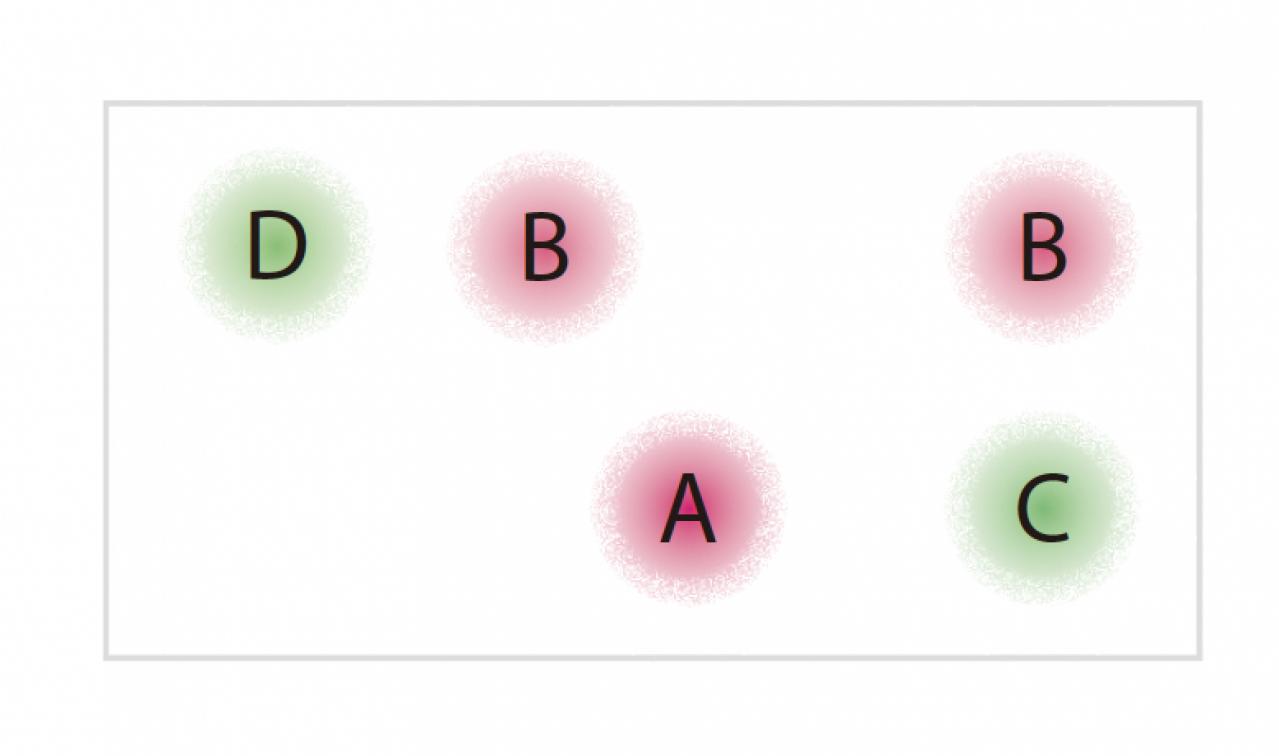 【ガーデニング】秋までたくさんの花が次々と咲く！ 吉谷桂子さんの「ペチュニア」の寄せ植え（画像6）