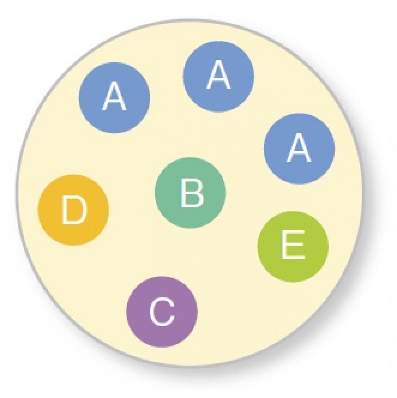 【ガーデニング】一度見たら忘れられない美しさ！吉谷桂子さんの「ブルーレースフラワー」の寄せ植え（画像6）