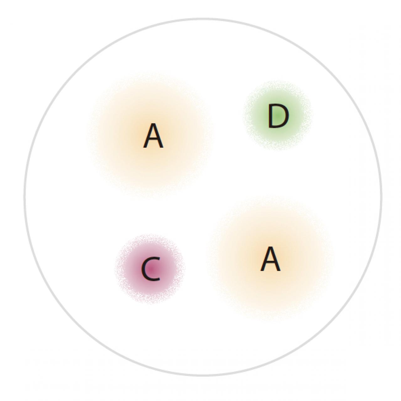 【ガーデニング】秋までたくさんの花が次々と咲く！ 吉谷桂子さんの「ペチュニア」の寄せ植え（画像4）
