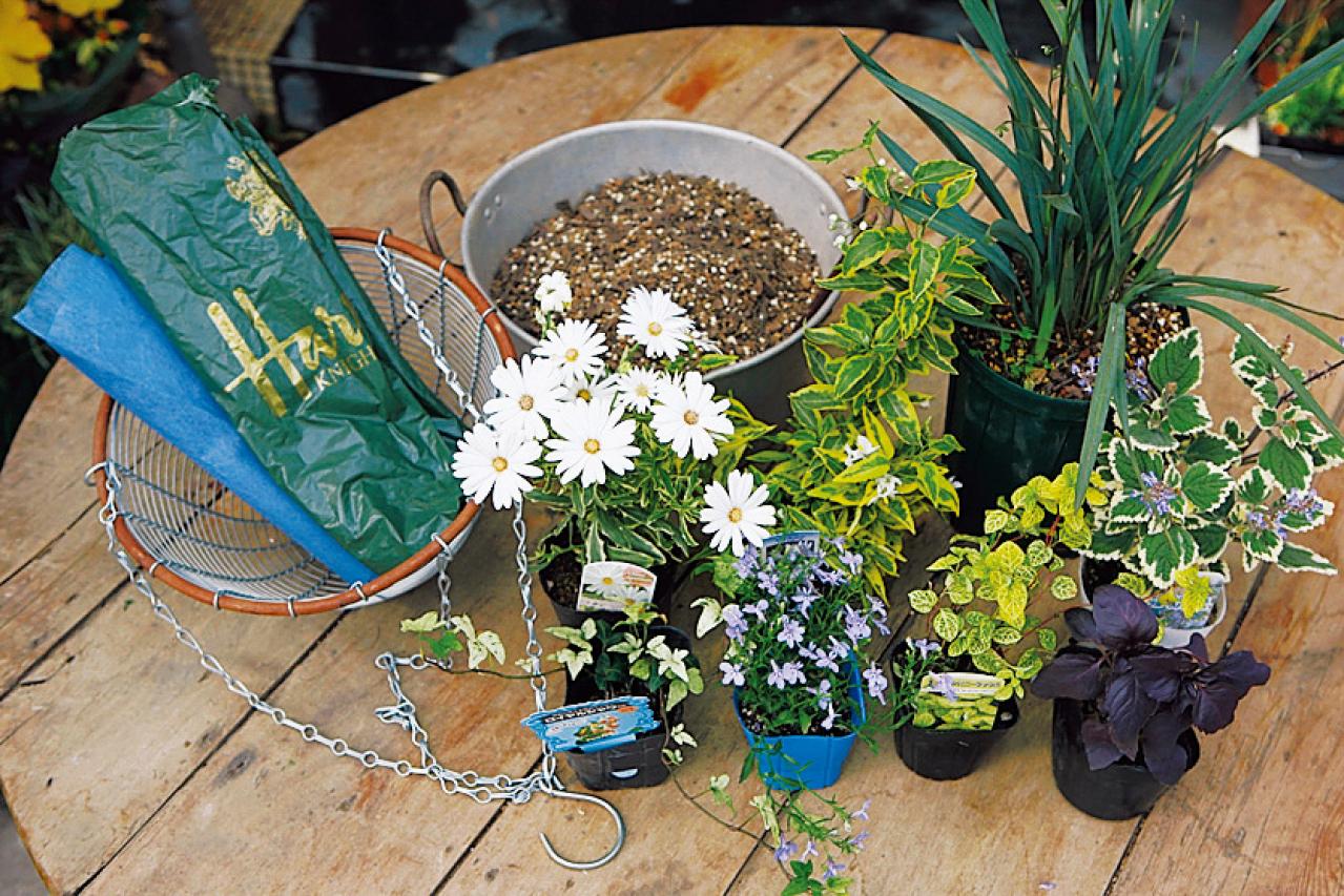 【ガーデニング】吉谷桂子さんの「白いオステオスペルマム」の寄せ植え。植えつけプロセスも公開！（画像5）