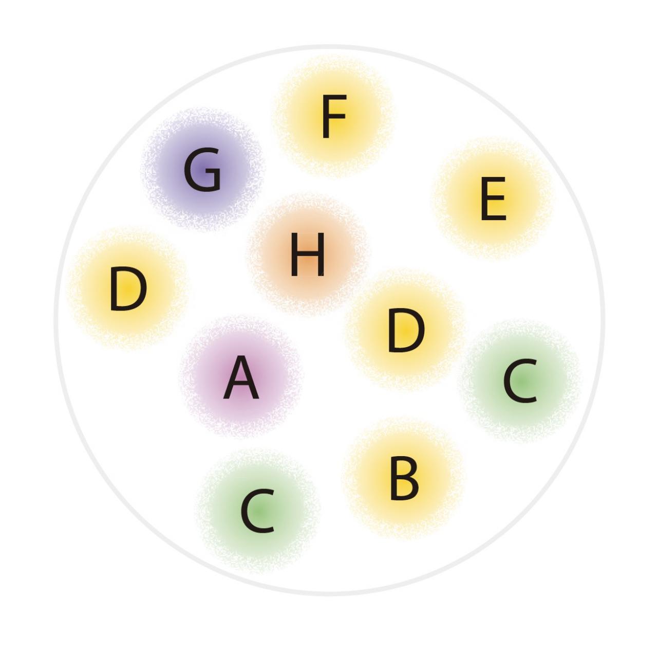 【ガーデニング】花色から元気をもらえる！「黄色いオステオスペルマム」の寄せ植え（画像5）