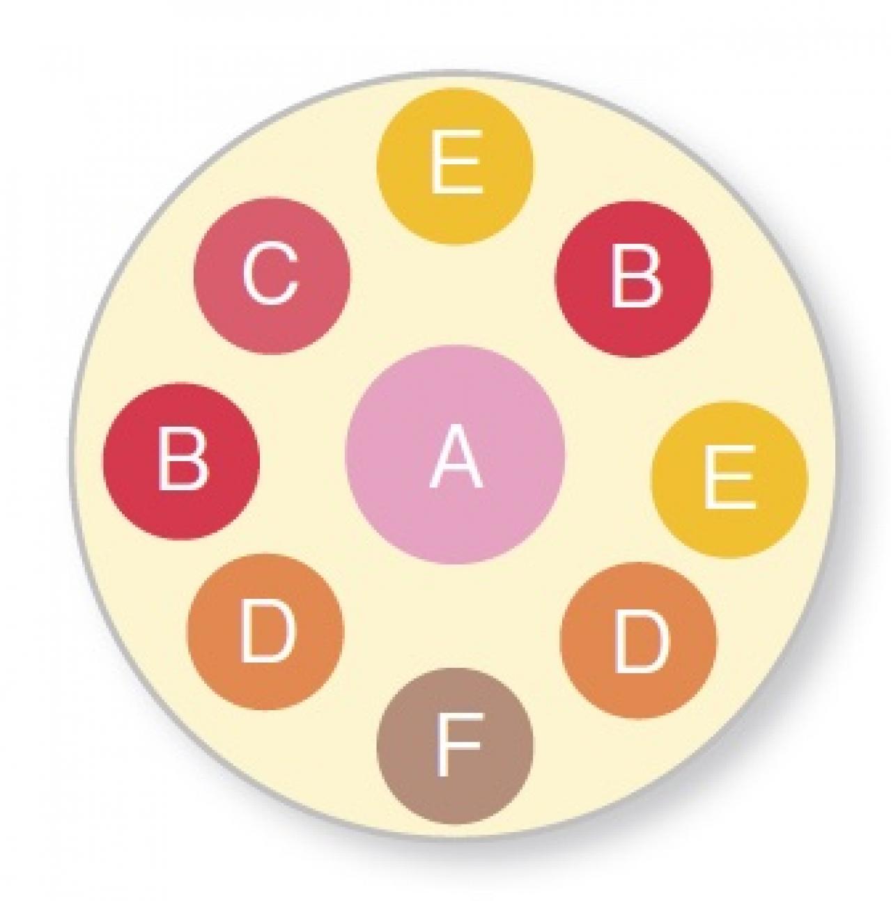 【ガーデニング】一度見たら忘れられない美しさ！吉谷桂子さんの「ブルーレースフラワー」の寄せ植え（画像4）