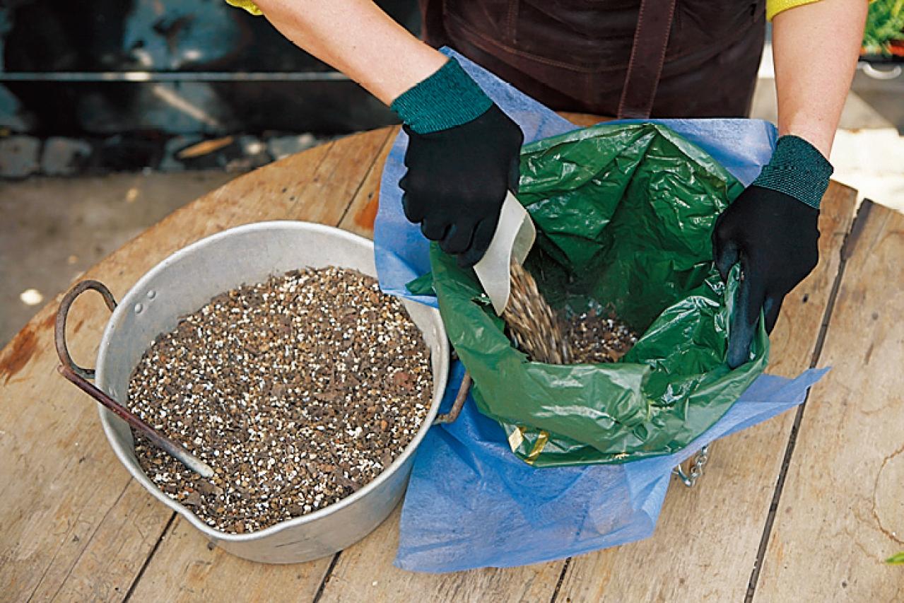 【ガーデニング】吉谷桂子さんの「白いオステオスペルマム」の寄せ植え。植えつけプロセスも公開！（画像6）