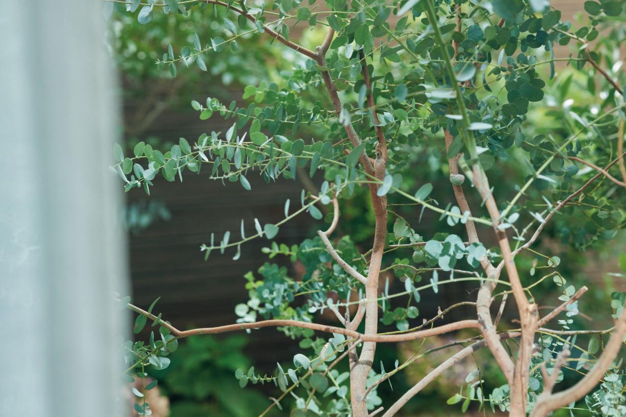 60代「ずぼら」でもできる！小さな暮らしの工夫と楽しみ方【文筆家・青木美詠子さん】（画像5）