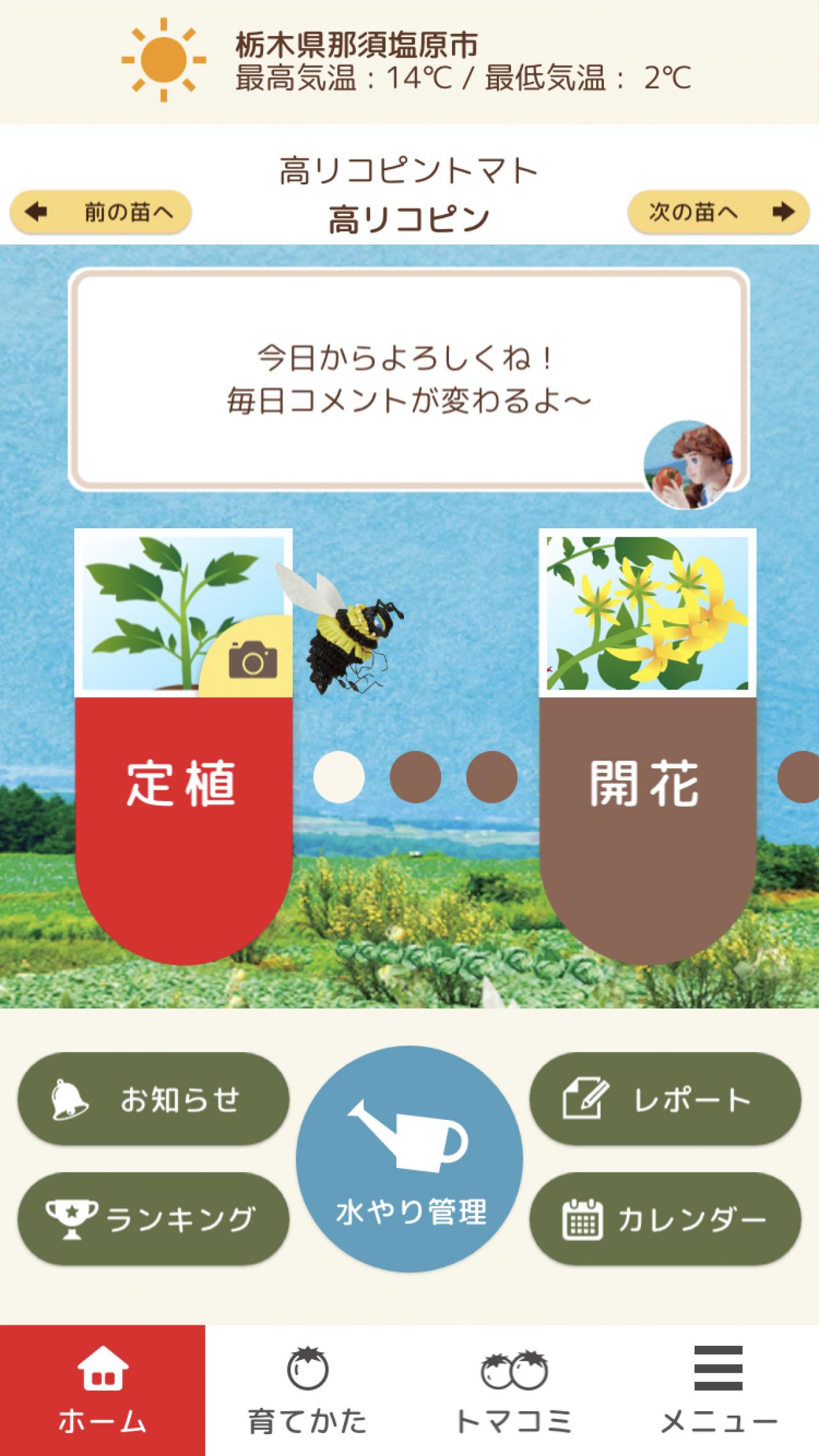 トマト栽培サポートアプリ「トマサポ！」の概要