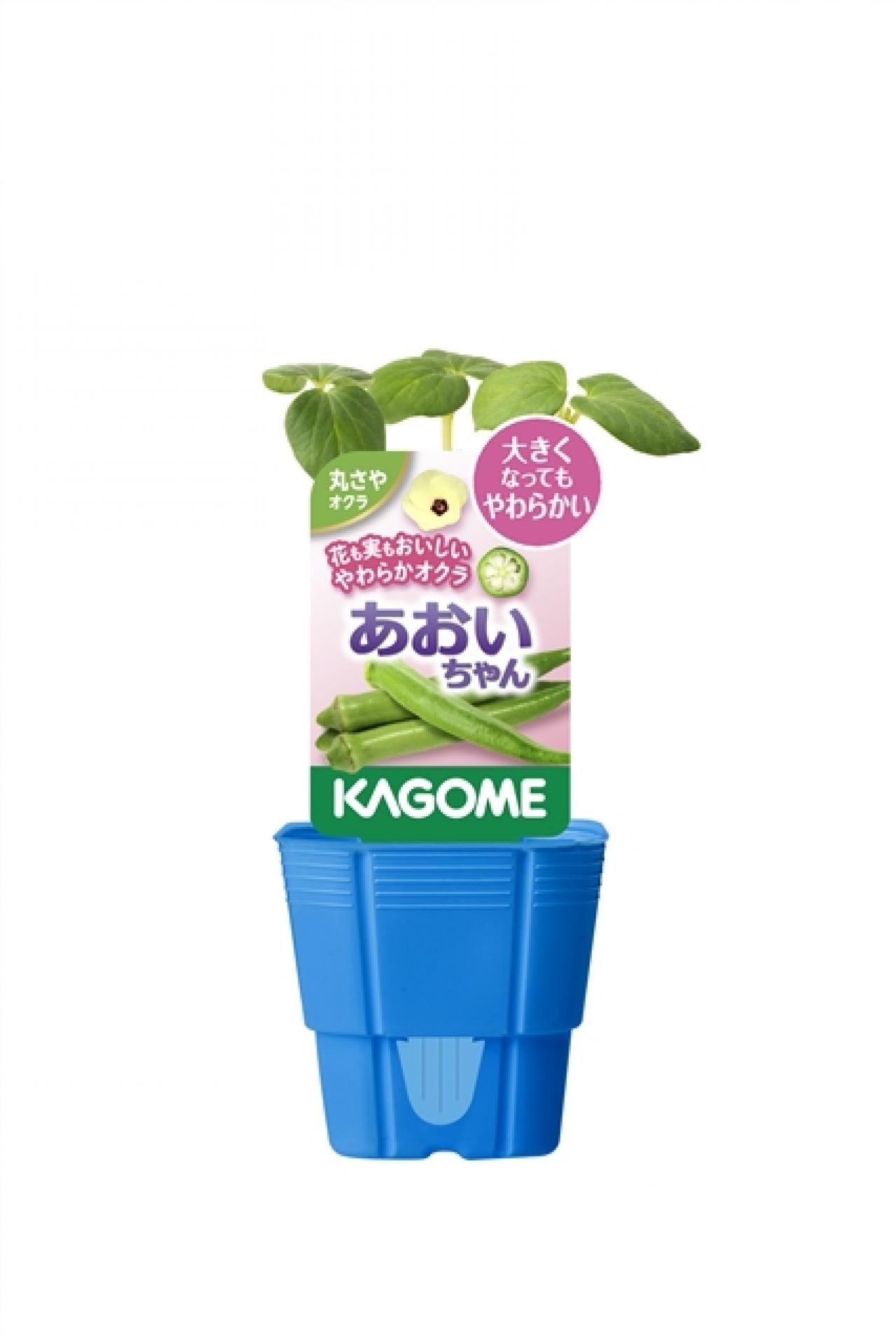 カゴメが猛暑に強い夏植えトマトなど、オリジナル品種家庭園芸用苗・培養土（2024年シーズン）の販売を開始（画像6）