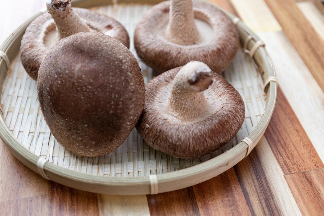 知らなきゃ損！しいたけの向きと干し方次第で栄養が劇的アップ！食物繊維は10倍に！