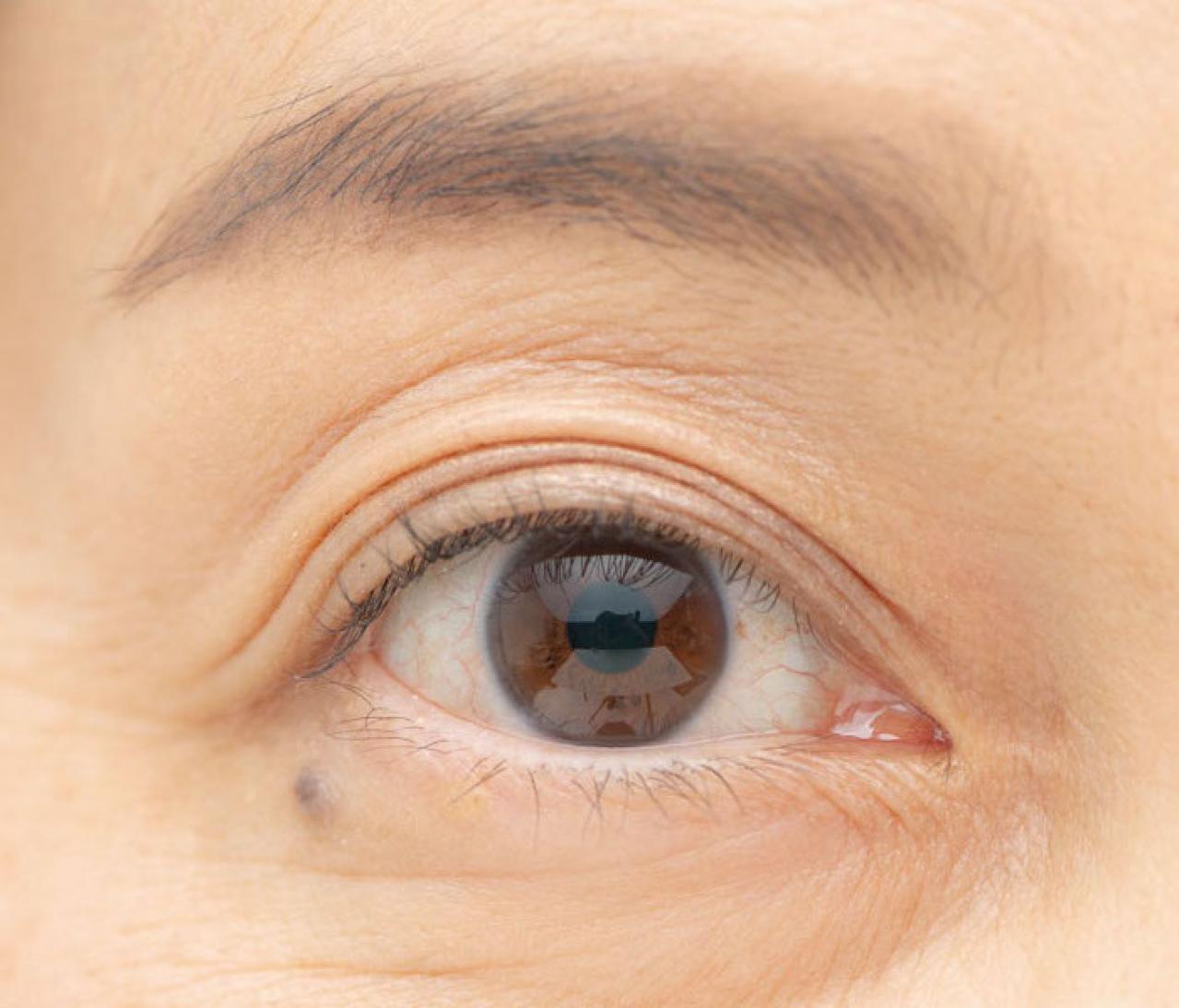 【50代からのメイク術】目力がアップし、5歳若返るアイラインの描き方とは？（画像7）