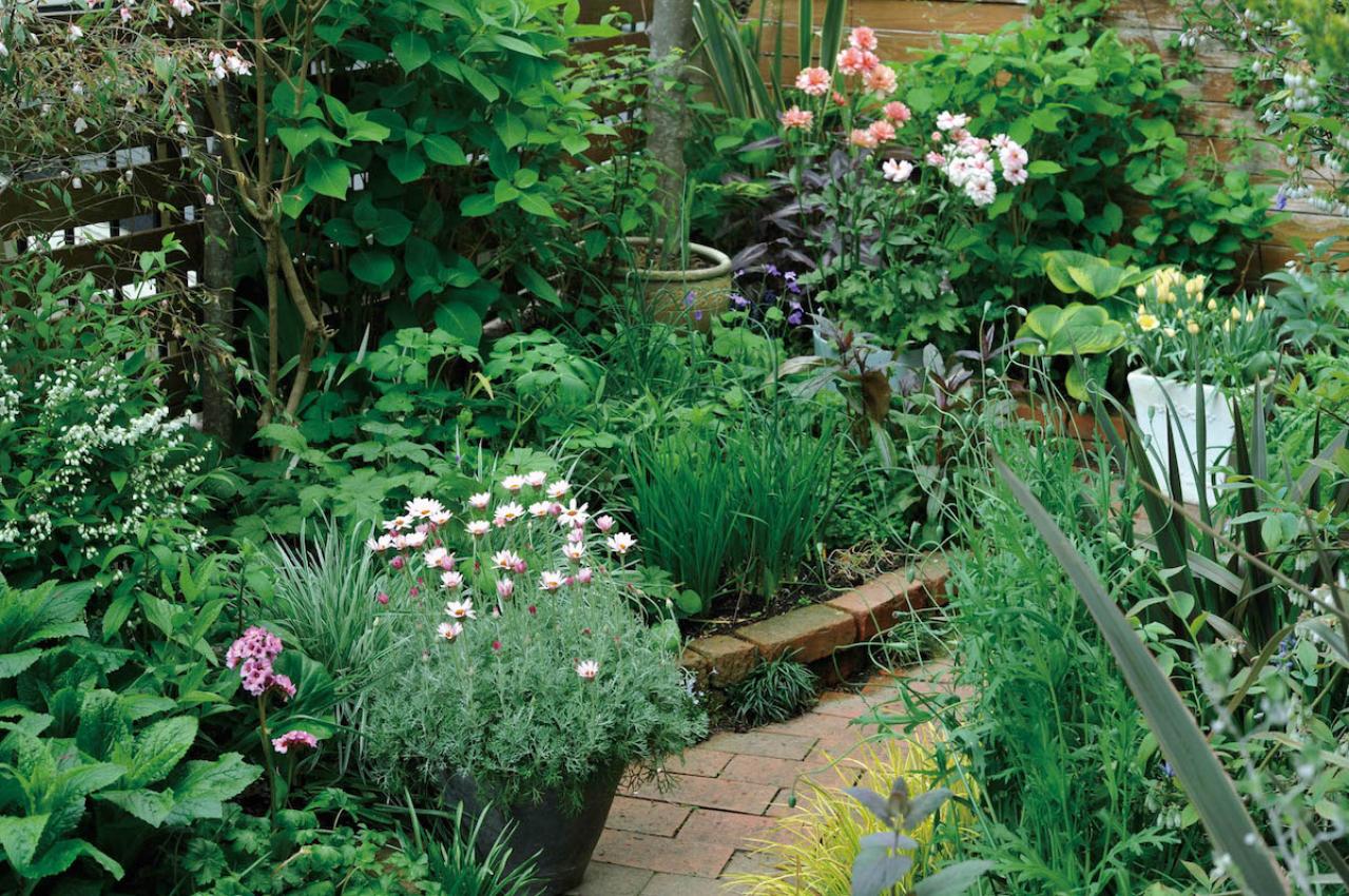 【ガーデニング】ローメンテナンスでOKな春の鉢植え5選｜園芸家・青木純子さんおすすめ（画像2）