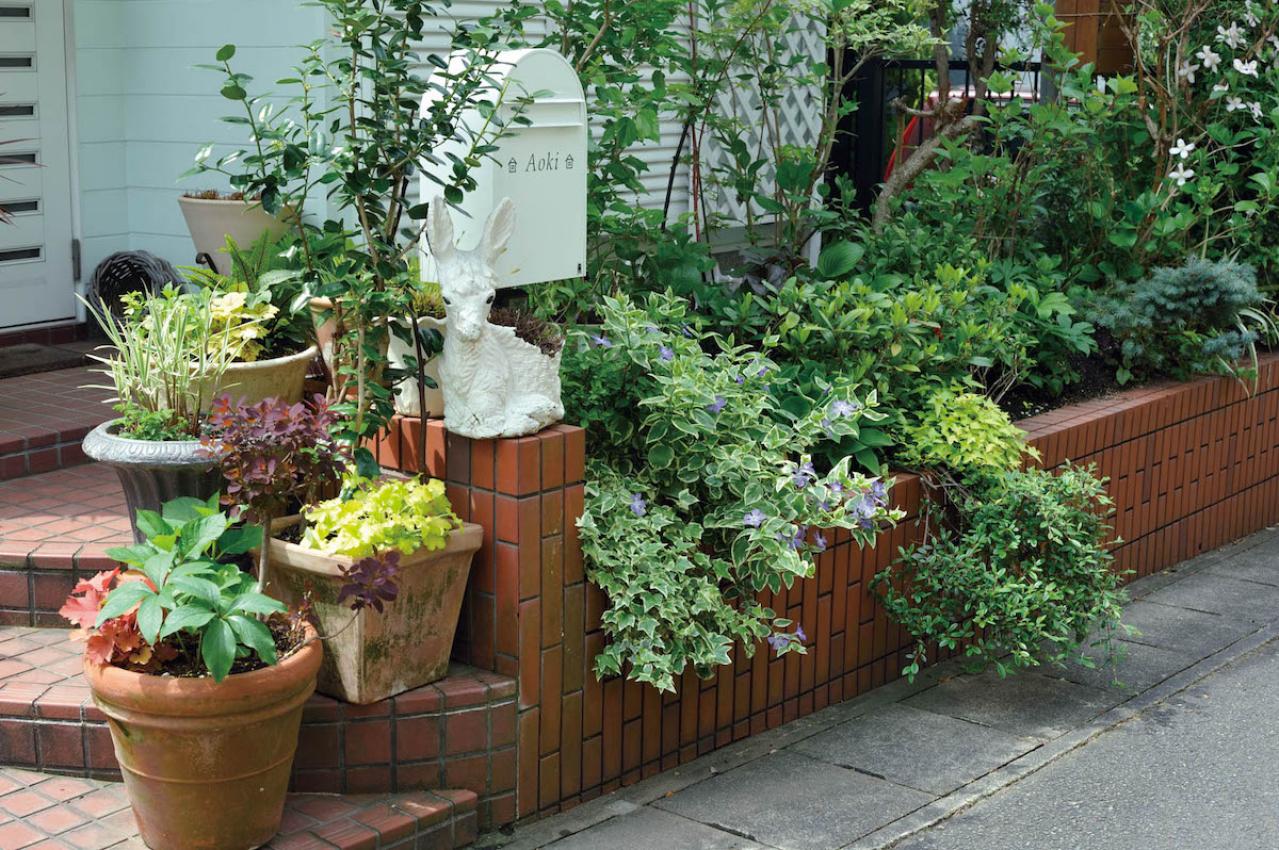 【ガーデニング】ローメンテナンスでも美しい！園芸家・青木純子さんの春の庭を拝見（画像5）