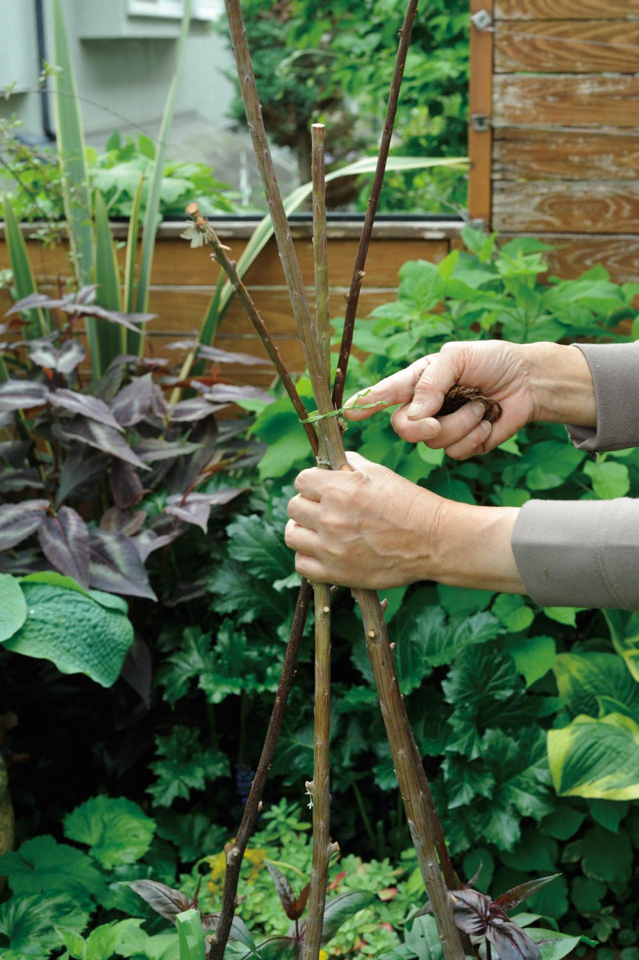 【ガーデニング】園芸家・青木純子さんの庭を美しくキープする春の作業「咲き終わった花の整理」「支柱立て」「鉢植えの夏越し準備」（画像10）
