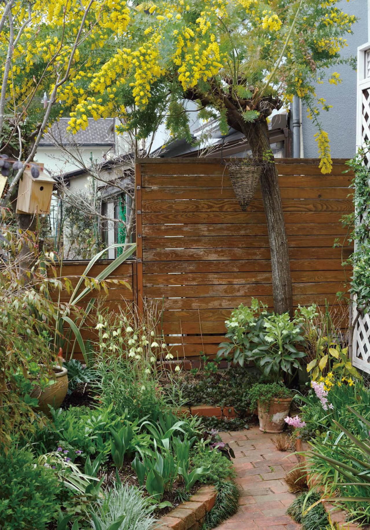 【ガーデニング】ローメンテナンスでも美しい！園芸家・青木純子さんの春の庭を拝見（画像3）