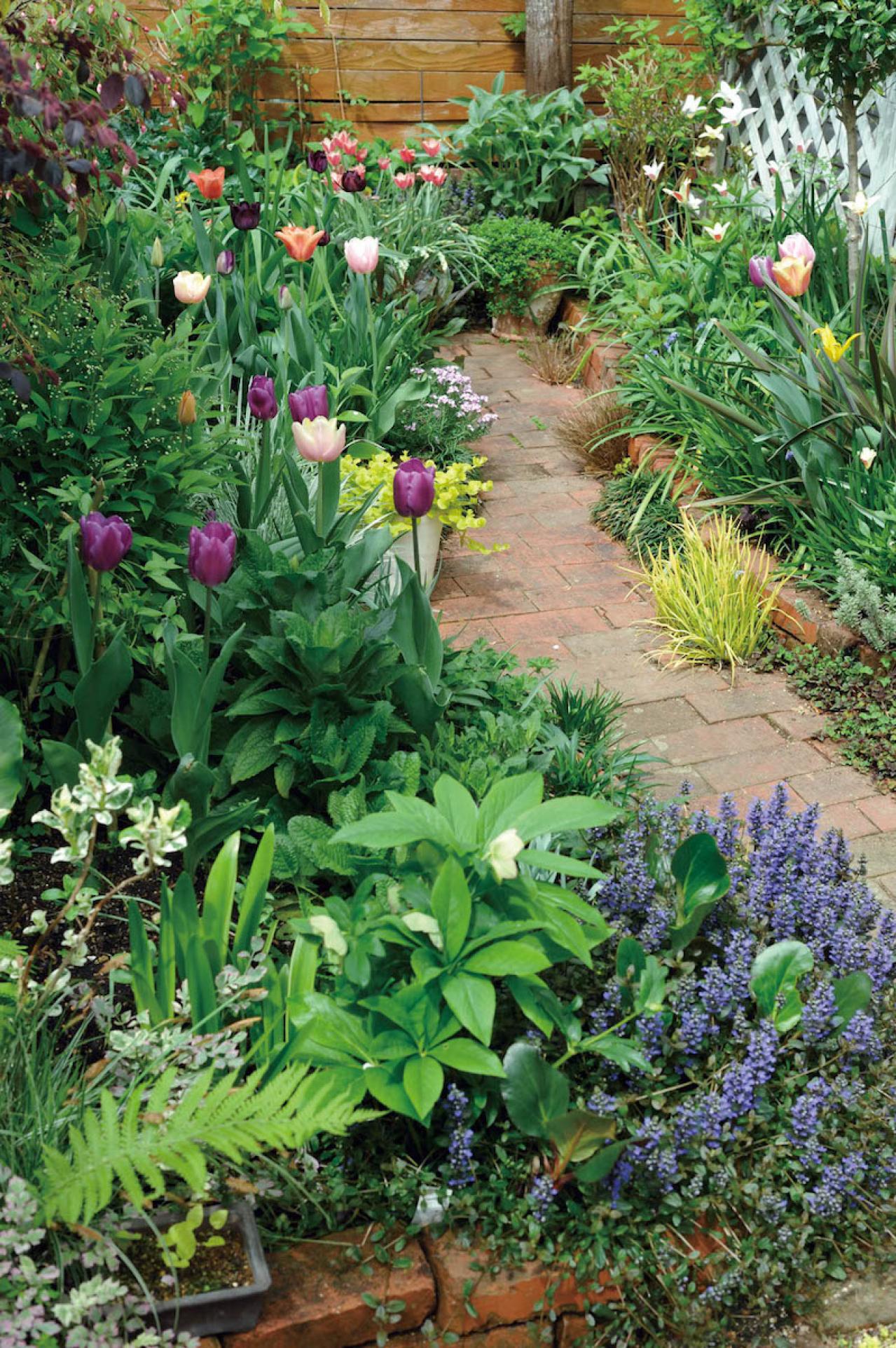 【ガーデニング】ローメンテナンスでも美しい！園芸家・青木純子さんの春の庭を拝見（画像4）