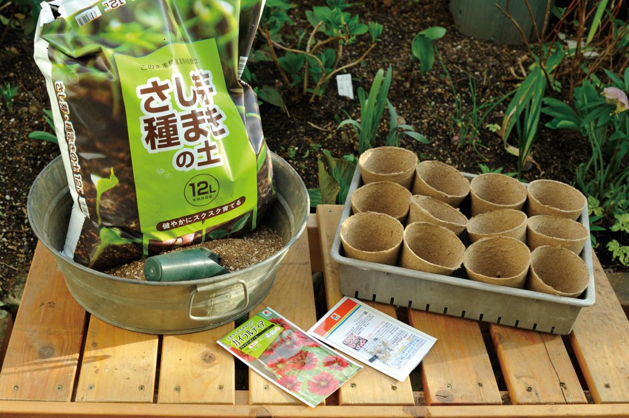 【ガーデニング】庭を美しくキープする春の作業「花がら摘み」「害虫予防」「つるの誘引」園芸家・青木純子さんがレクチャー（画像10）