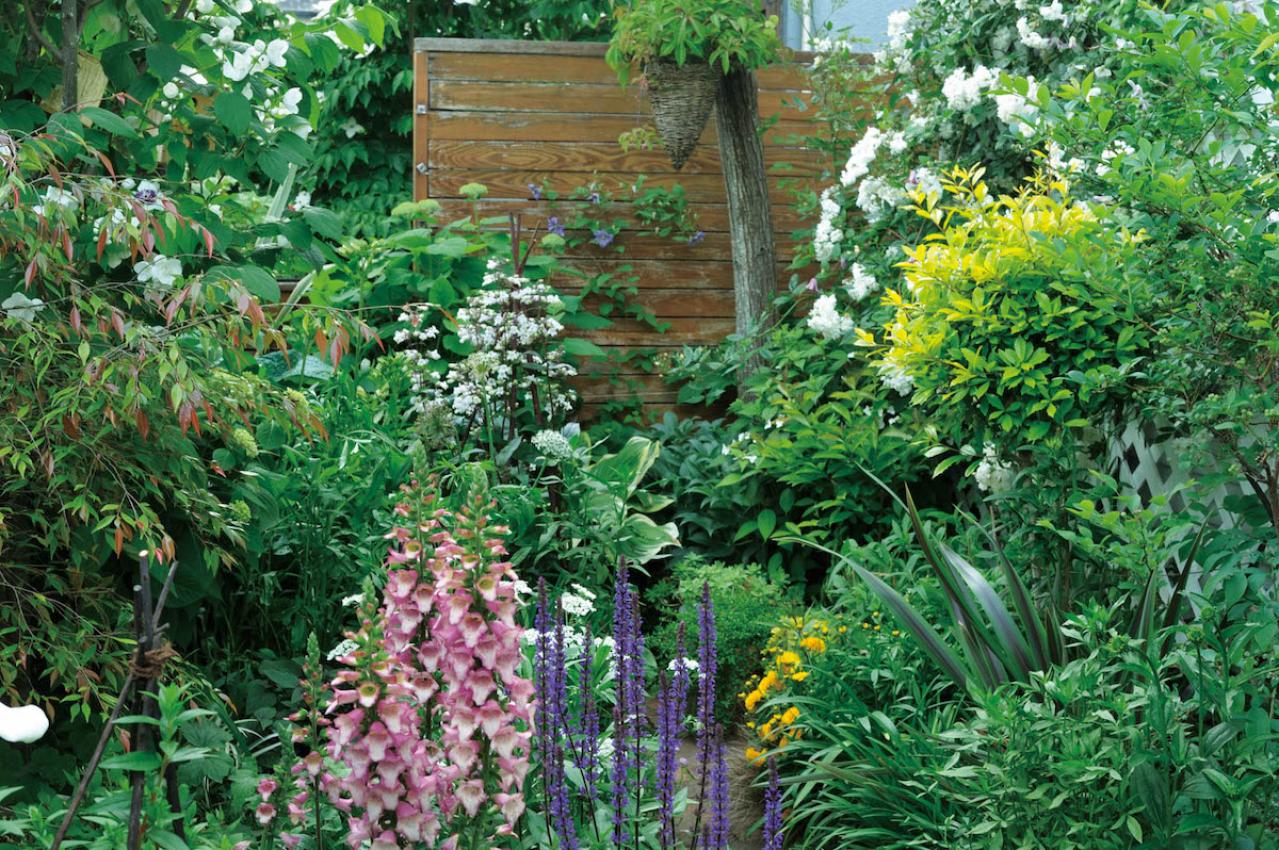 【ガーデニング】園芸家・青木純子さんの庭を美しくキープする春の作業「咲き終わった花の整理」「支柱立て」「鉢植えの夏越し準備」（画像13）