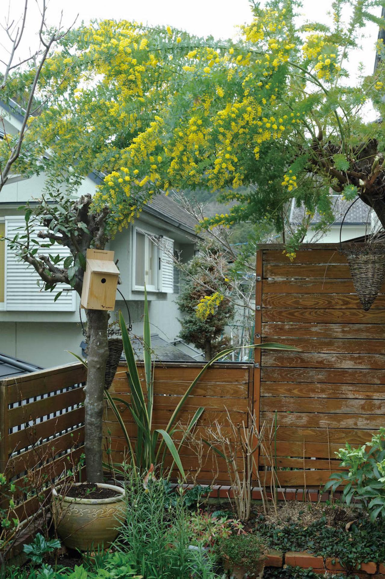 【ガーデニング】庭を美しくキープする春の作業「花がら摘み」「害虫予防」「つるの誘引」園芸家・青木純子さんがレクチャー（画像7）