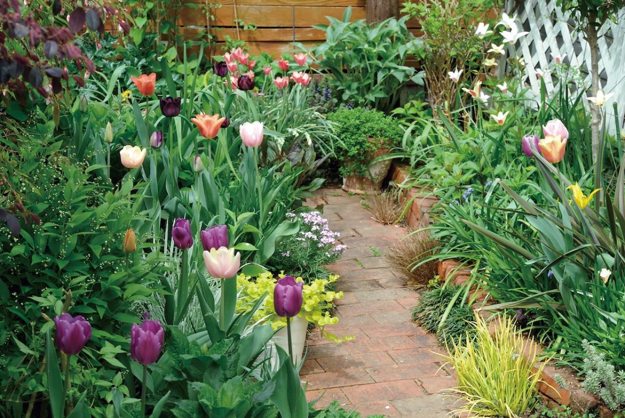 【ガーデニング】ローメンテナンスでも美しい！園芸家・青木純子さんの春の庭を拝見