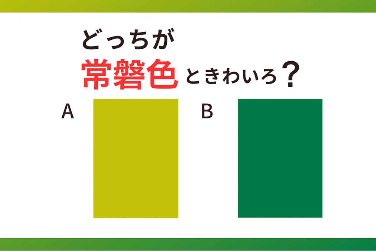 【クイズ】どっちの色が「常磐色（ときわいろ）」？