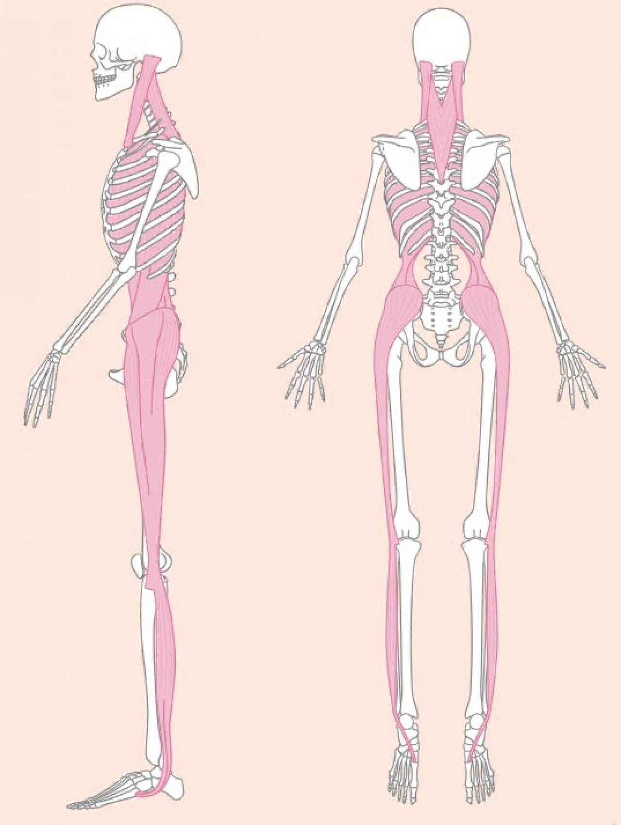 【ダイエット】Naokoさん流「下腹ぽっこり解消メソッド」簡単なのにお腹にしっかりアプローチできる（画像2）