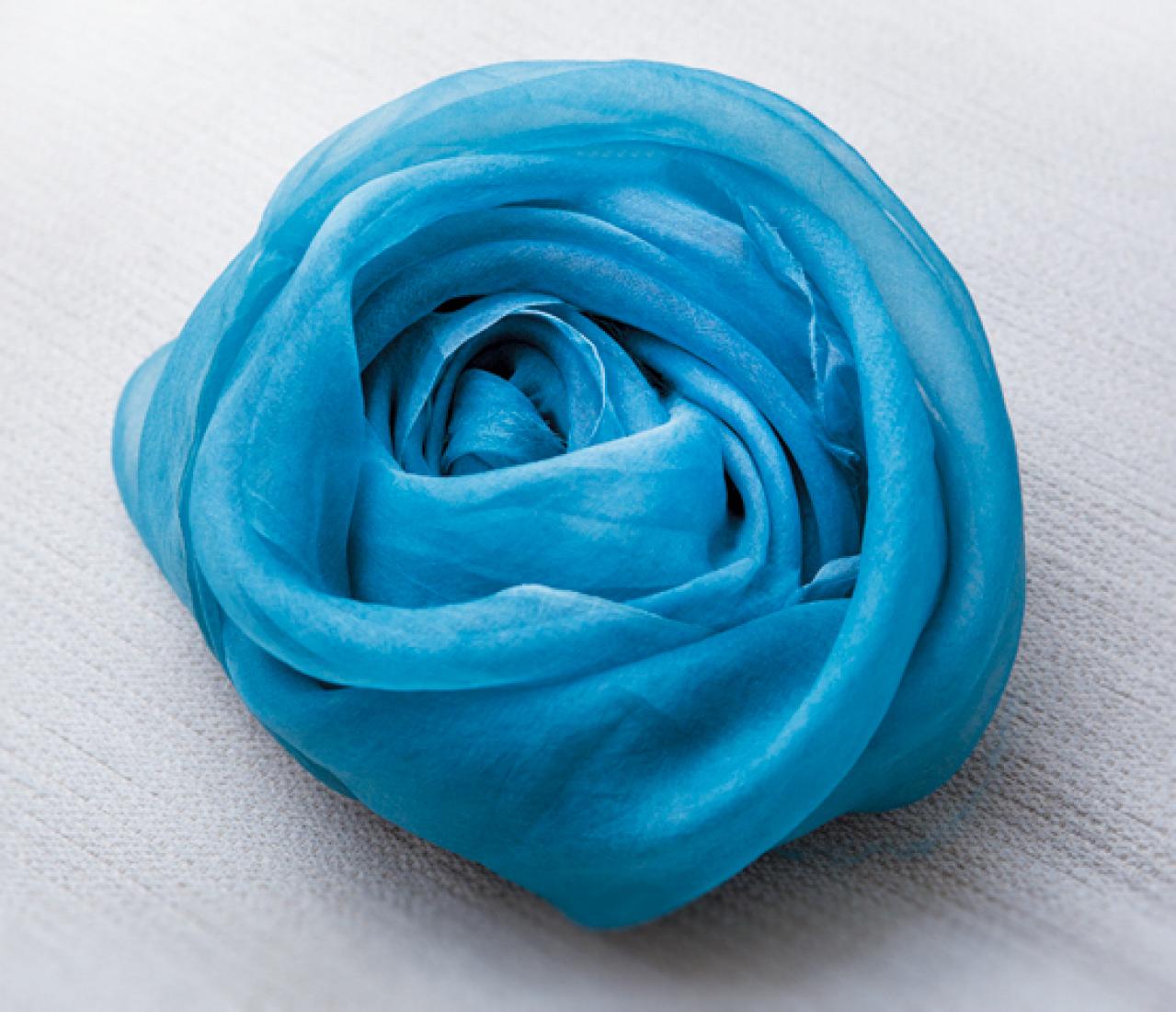 【ガーデニング】育てて楽しいハーブ【アイ】の栽培方法と活用アイデア2選（画像7）