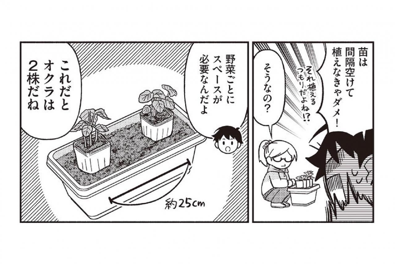 【マンガでわかる野菜づくり】初心者が買うべき土やプランターは？ 育てやすい苗の選び方は？