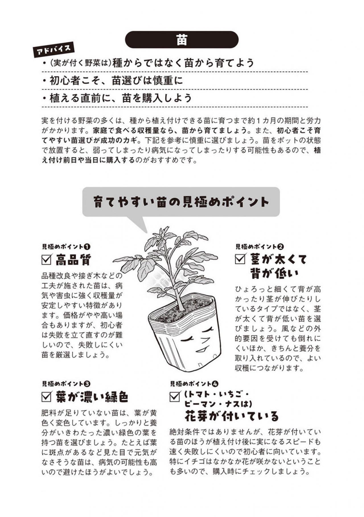 【マンガでわかる野菜づくり】初心者が買うべき土やプランターとは？［後編］（画像6）
