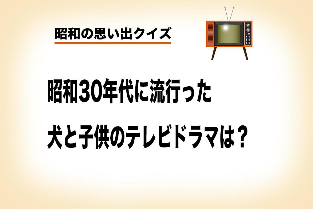 【クイズで脳トレ】犬と子供が主人公のアメリカのテレビドラマといえば？【昭和の思い出クイズ】