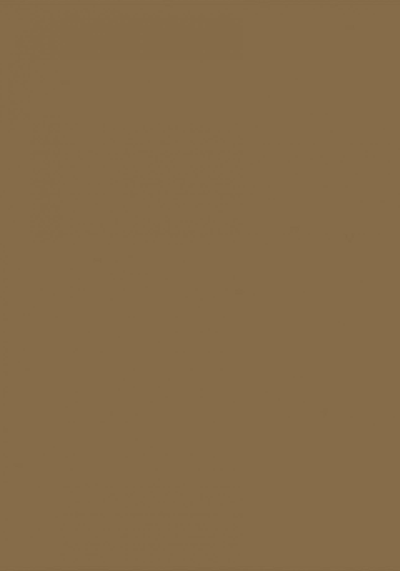 【色の名前クイズ】どっちが「生壁色（なまかべいろ）」？（画像4）