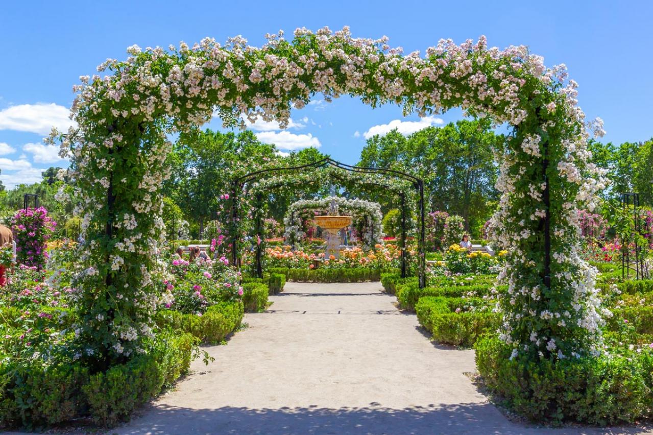 【ガーデニング】待ちに待ったバラの季節！ 関西以南のおすすめバラ園［6選］（画像3）