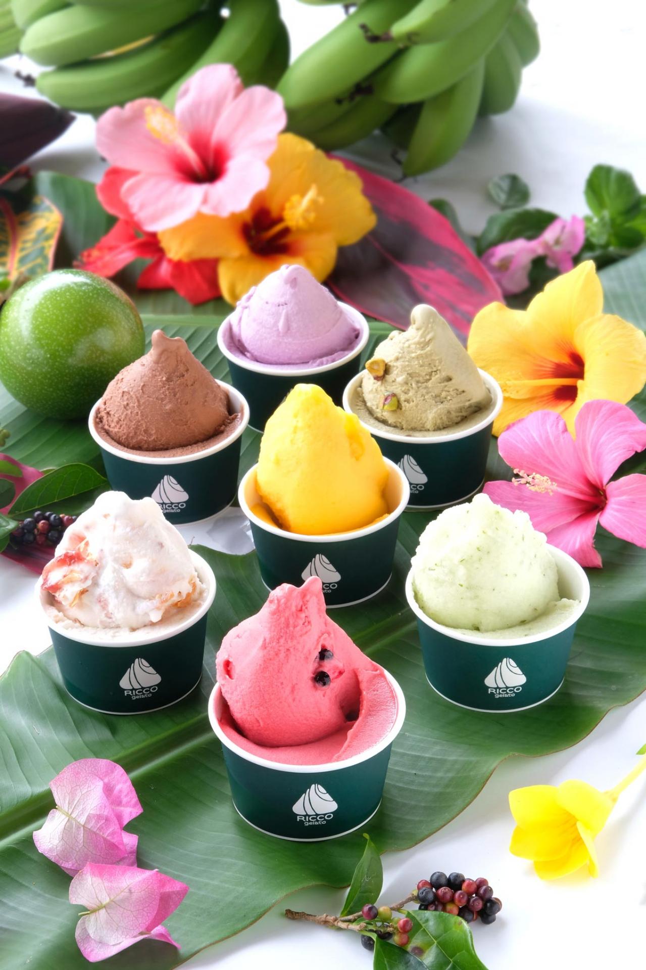 フードスタイリスト 黒木優子さんのお取り寄せ【ほっと一息お気に入りのおやつ】 リッコジェラートの「ジェラート」と永楽堂の「たこせんべい」（画像3）