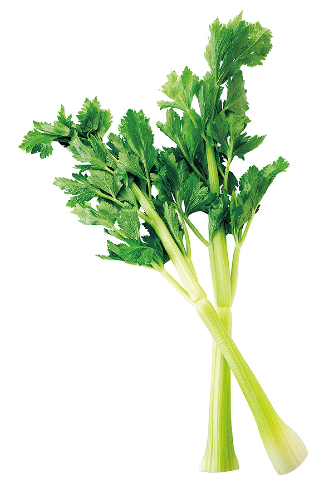 知ってる？「セロリ」の血液サラサラ成分が大幅増量する調理法（画像2）