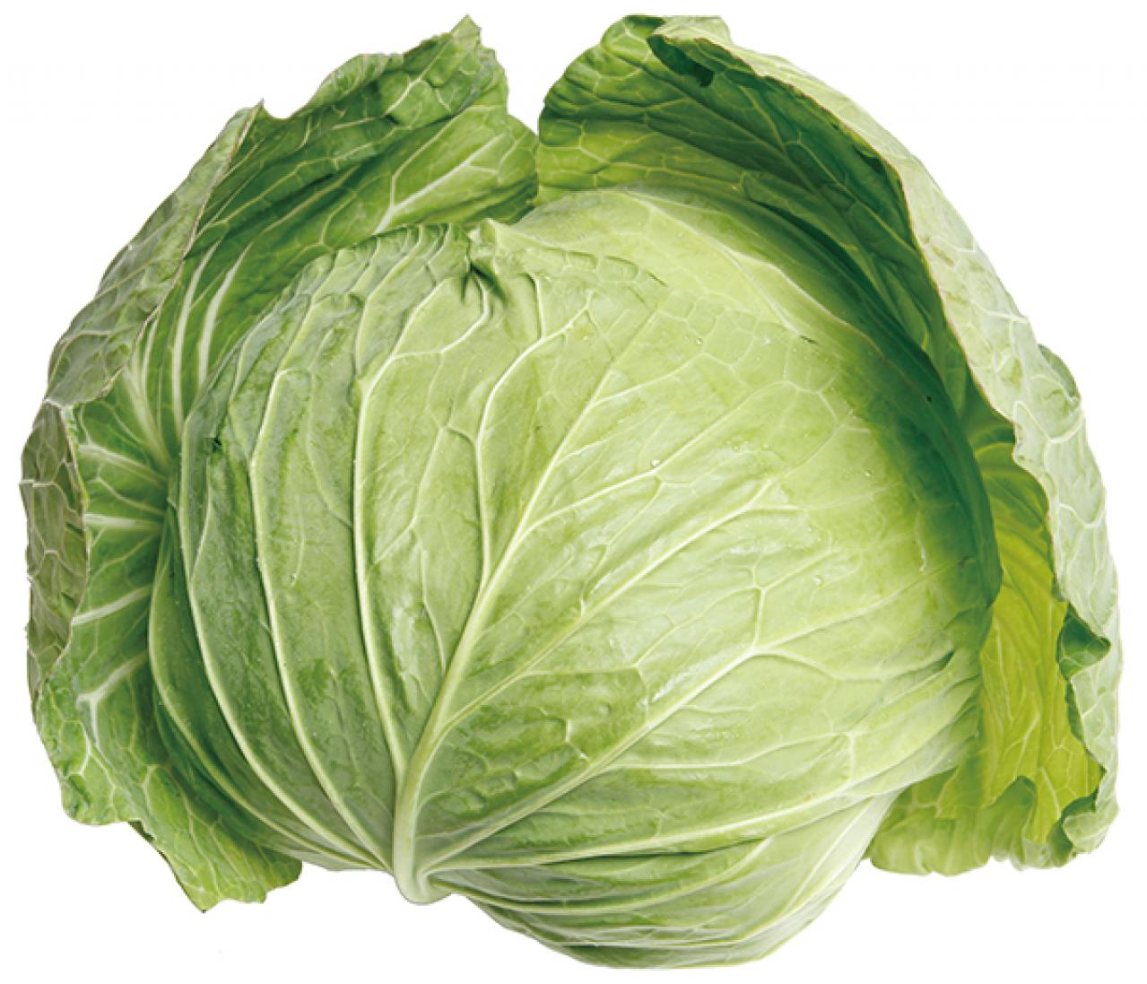 知ってる？「キャベツ」の活性酸素除去力が約5倍に増える調理法（画像2）