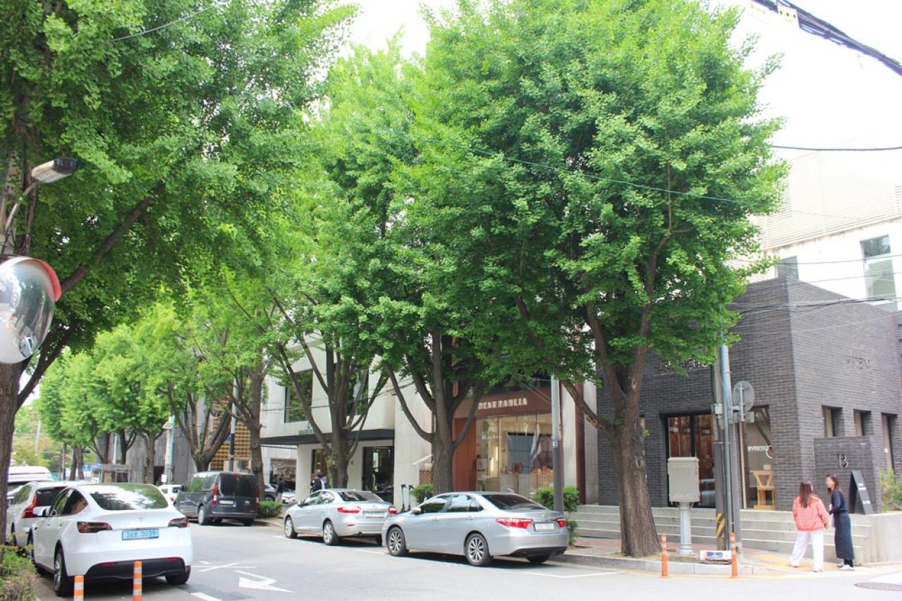 初夏の清潭洞。エルメスカフェのアフタヌーンティと、ジェントルモンスターのイベントを満喫【ソウル最新情報】（画像7）